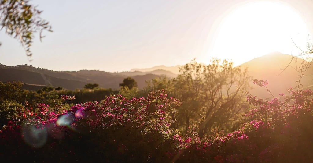 Sunset over flowering gardens and rolling hills