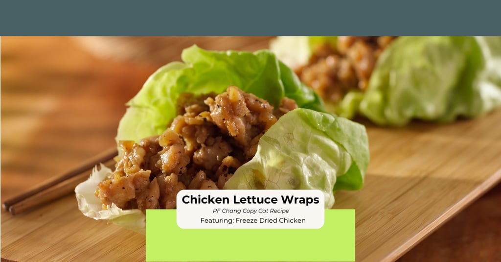 Freeze-dried chicken lettuce wraps close-up