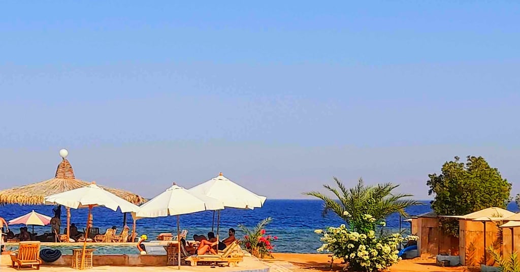 Sea-view swimming pool with sunbeds and umbrellas at Bedouin Star beach camp in Sinai