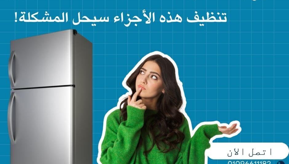 A woman trying to find solutions to maintain and repair her refrigerator.