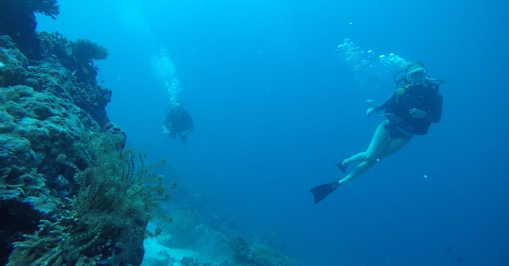 night dive Lovina reef #AdvancedArabicDive #SunriseBali
