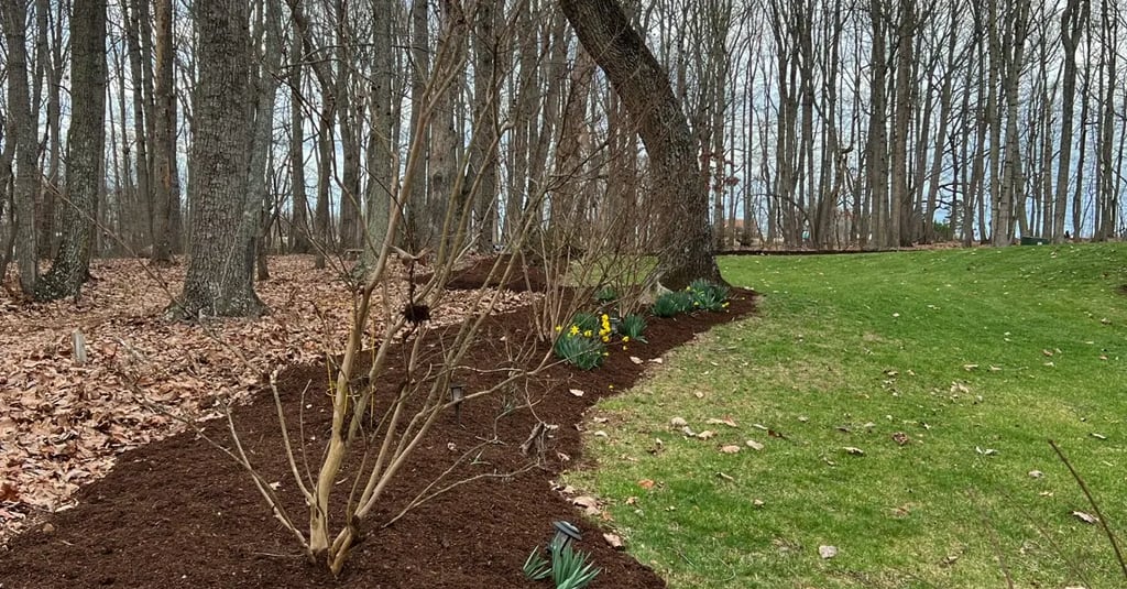 Mulch and Flowers