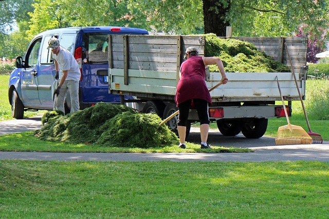 Landscaping SEO in Cyprus: Growing Your Green Business Online