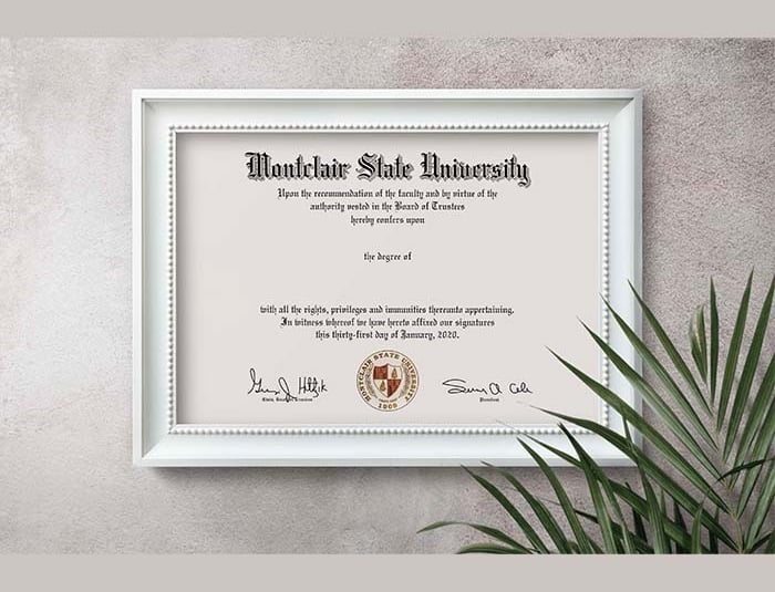 Possessing a Fake College Diploma