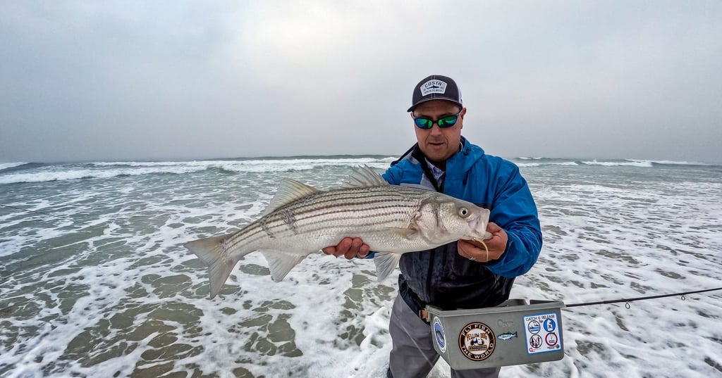 Ocean striped bass fly fishing
