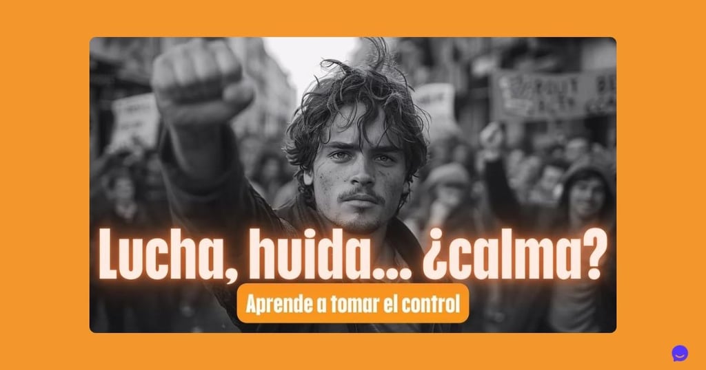 Lucha, Huida... ¿o Calma?