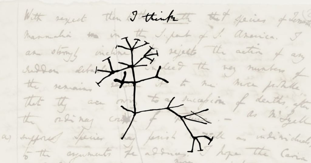 evolución superprogenitores