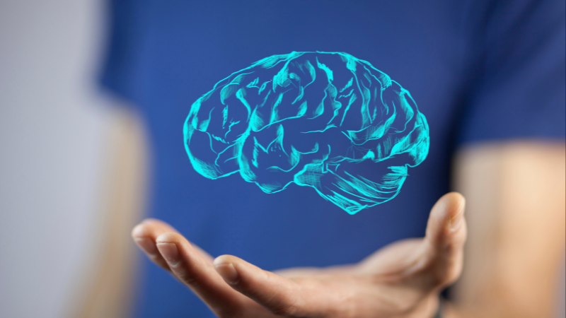 a person holding a hand with a brain map of a brain