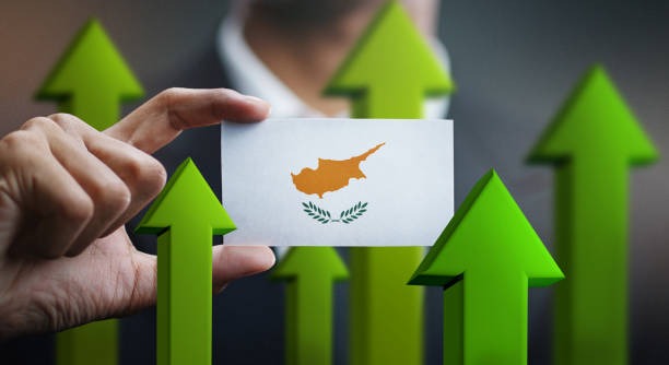 SEO for Safari and Tour Businesses in Cyprus
