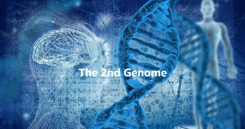 the second genome