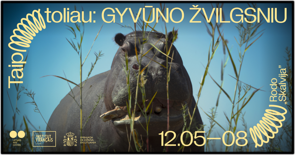 Taip toliau: GYVŪNO ŽVILGSNIU