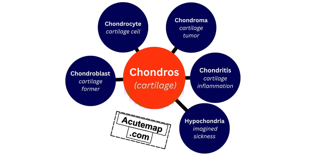 Chondros Root Word Vocabulary SSC UPSC