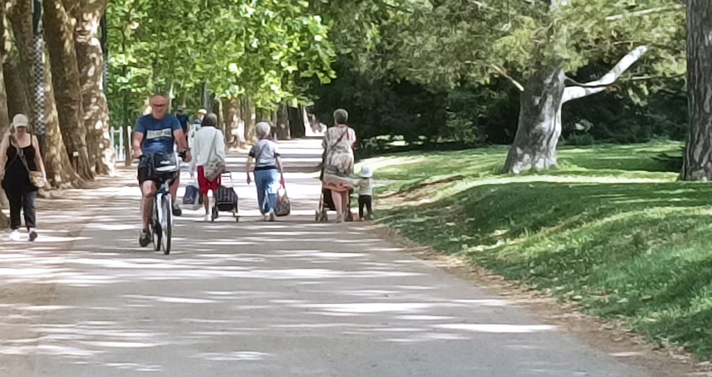 Some more people enjoy the park.