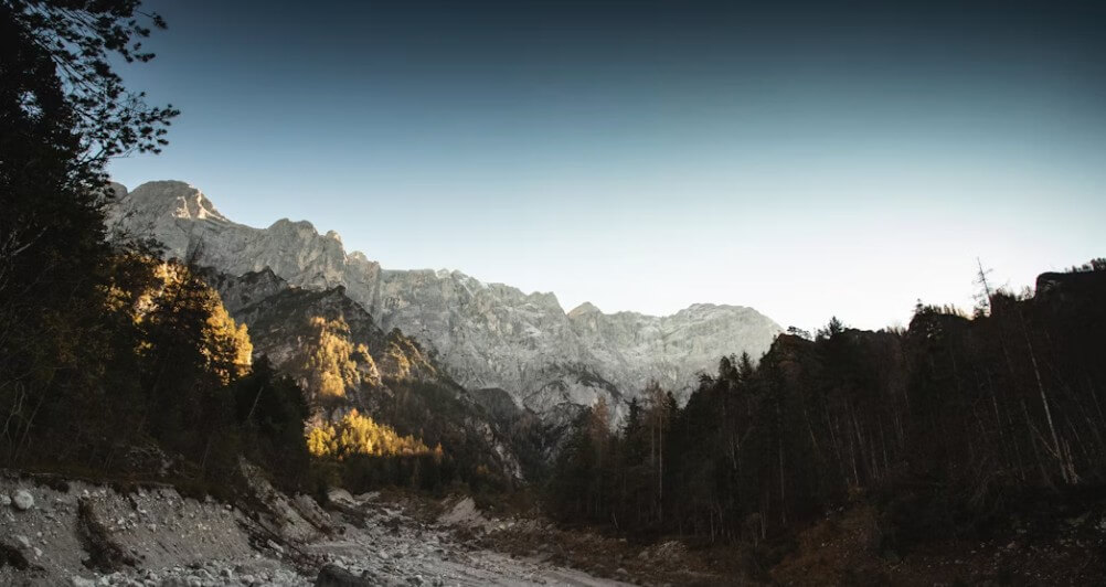 left and right dark forest with snowy mountains in the middle of the picture