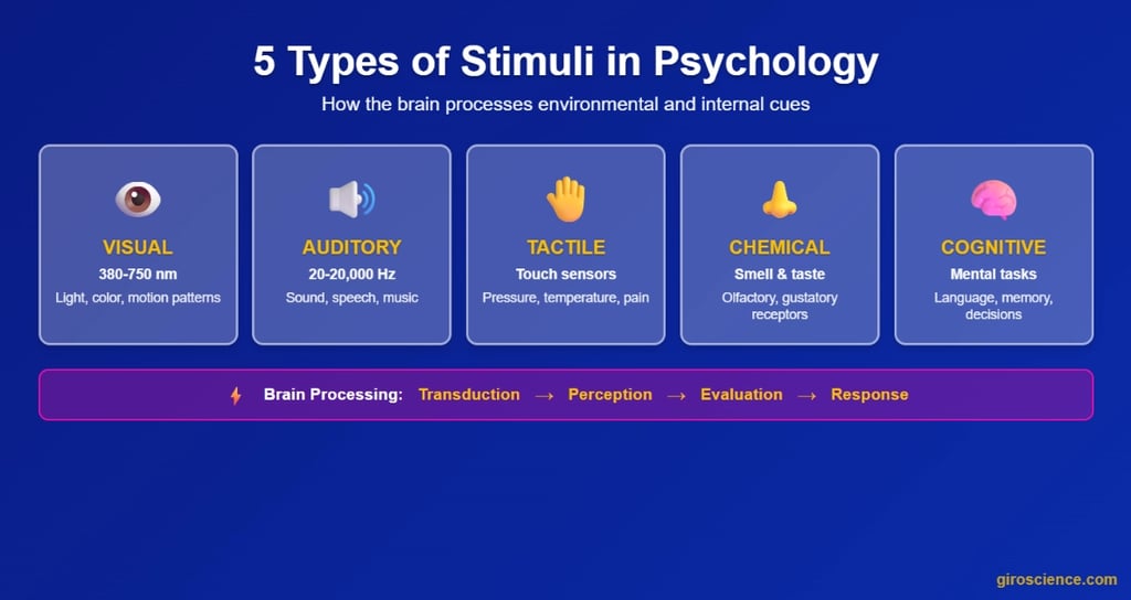 Types of stimuli infographic: visual light, auditory sound, touch, smell/taste, cognitive stimuli