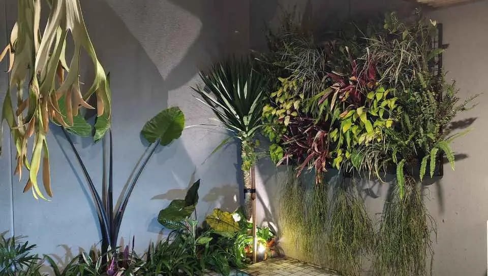 Kolam renang air hangat mewah di Bogor dengan pemandangan pegunungan. 