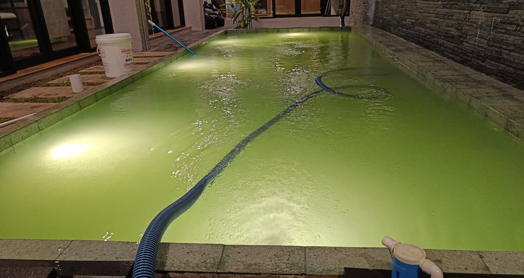 tahap penaburan obat untuk masalah kolam renang yang airnya sudah hujat