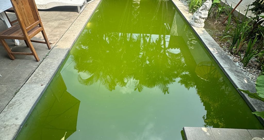 kolam renang dengan masalah air yang hijau dan berlumut.