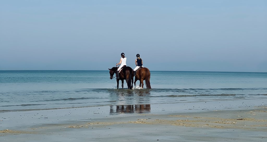 chevaux sur la plage