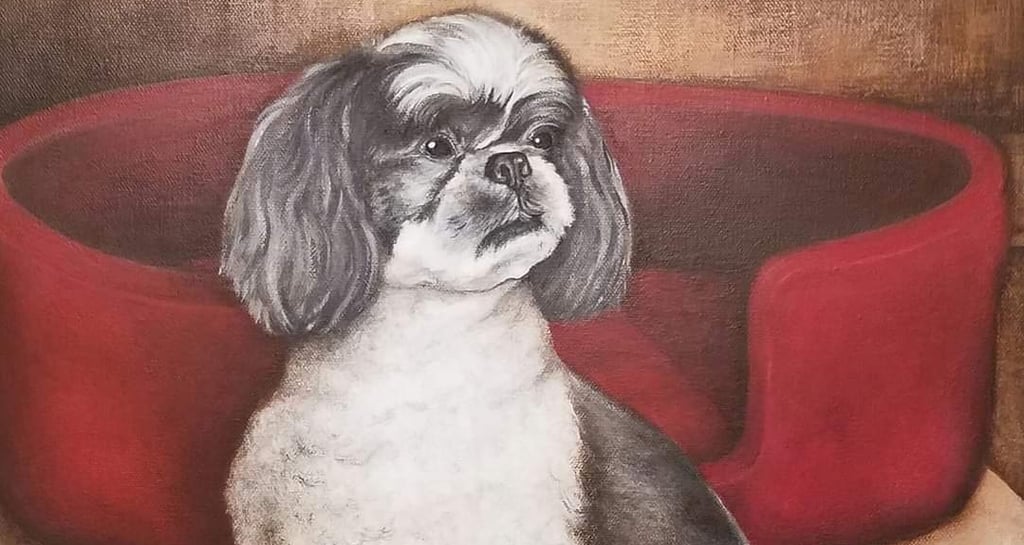 "Shih Tzu by Red Bed", acrylic on 20x20 canvas, Laura Roy artist, 2017