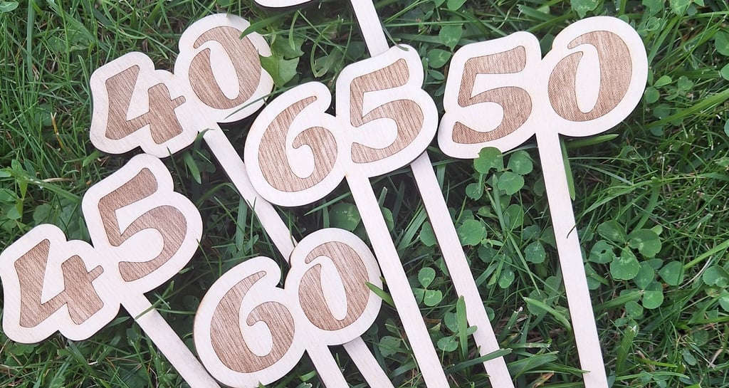 Mediniai įvairių rūšių smeigtukai. Panevėžys