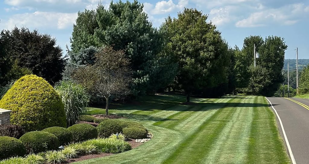 excellent landscaping and hardscaping of grass, stones and trees by NP Landscaping