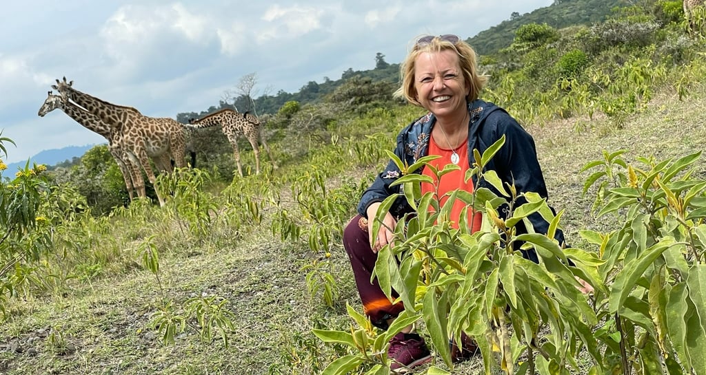 Wandersafari im Arusha-Nationalpark – hautnah mit Giraffen unterwegs.