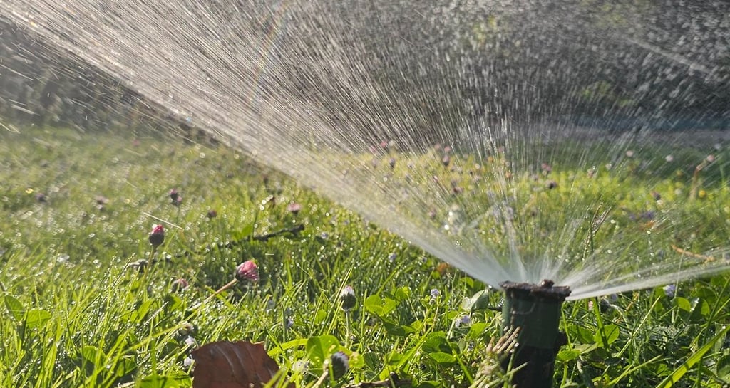 a sprinkler sprinkler sprinkler sprinkle