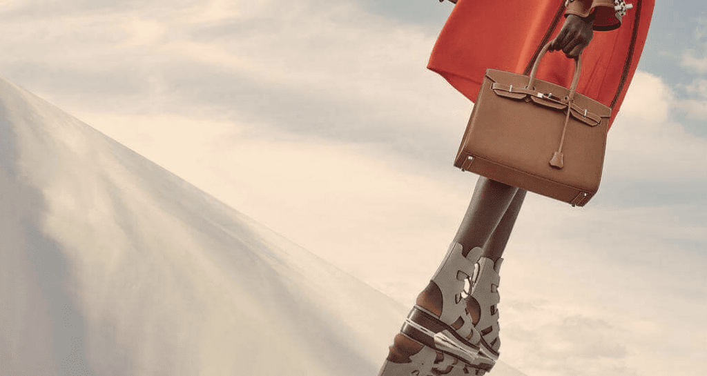 Sophisticated Hermès Birkin bag held by a model in a minimalist outdoor setting.