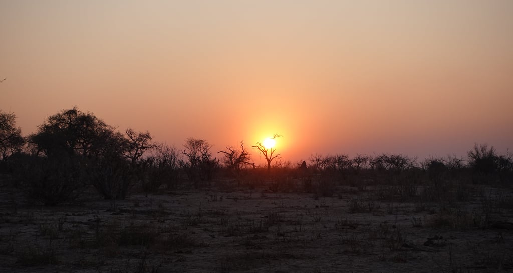 Sunset while on safari at Chamabondo National Park in Victoria Falls