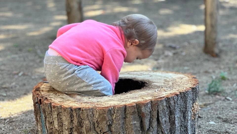 Infant assegut sobre un tronc buit jugant a l’exterior