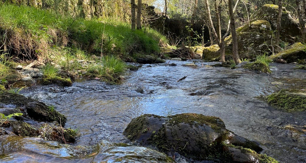 ardeche ferme florale rivière moulin alune