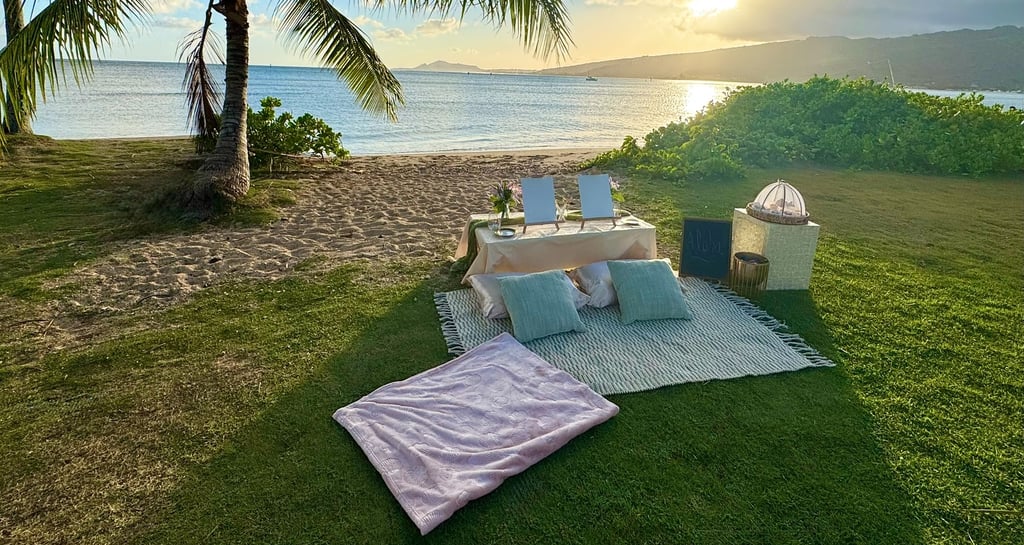 luxury beach picnic in honolulu, hawaii