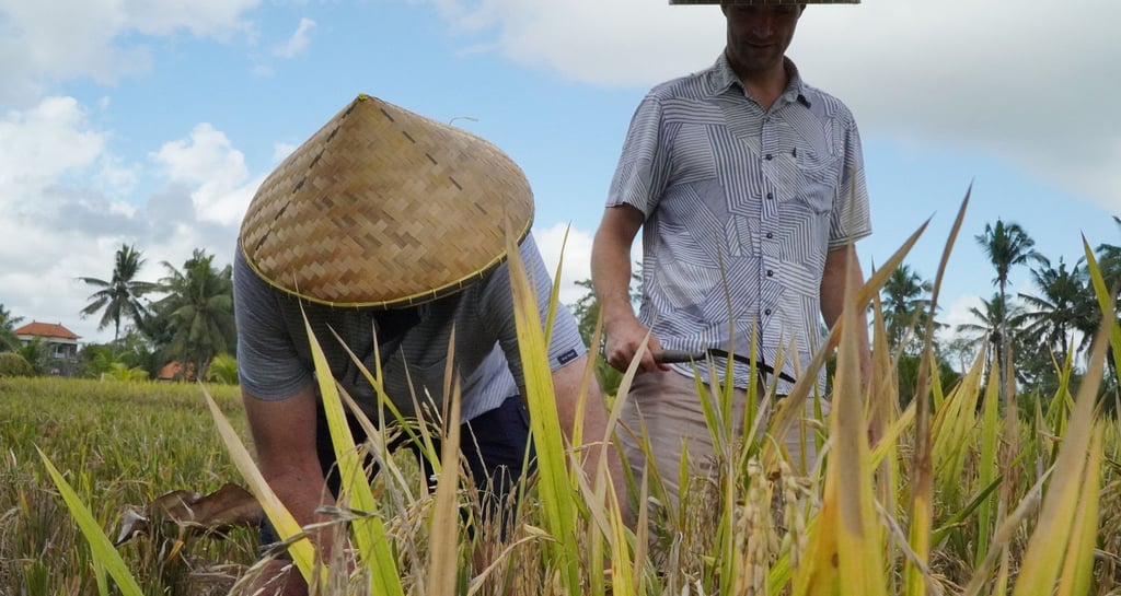 Bali Farming