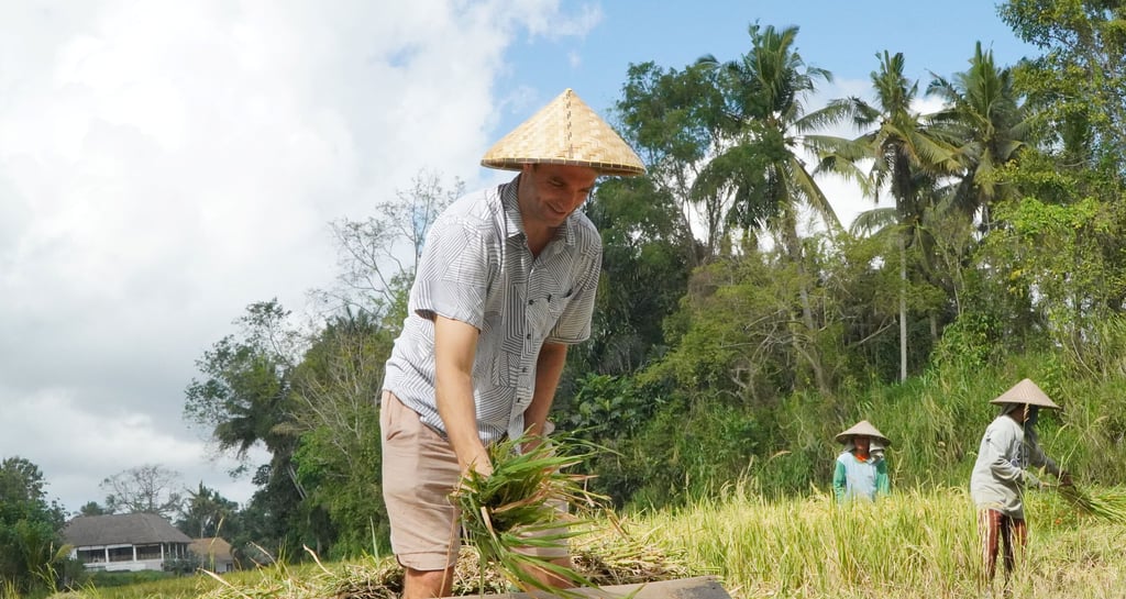 Rice Farming Bali
