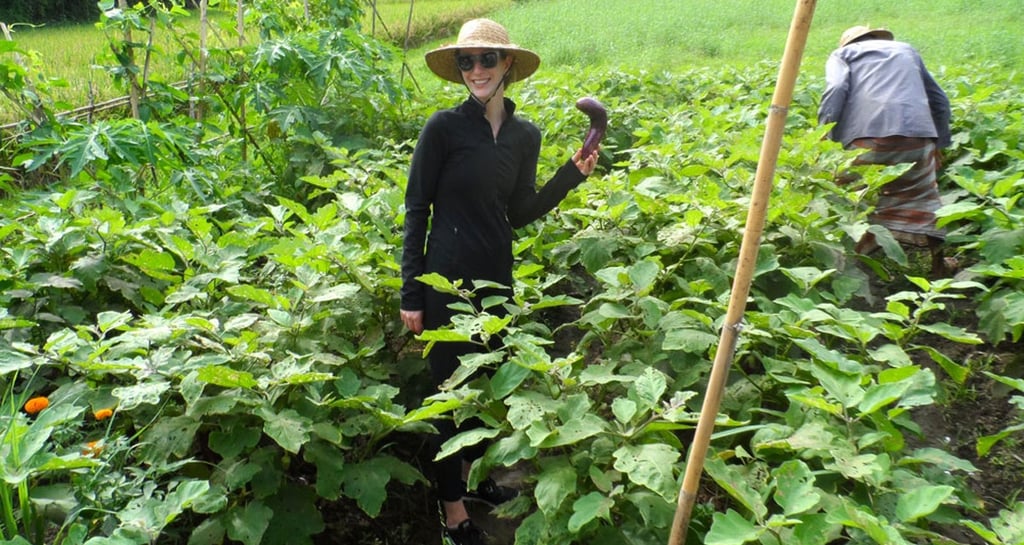 Bali farming