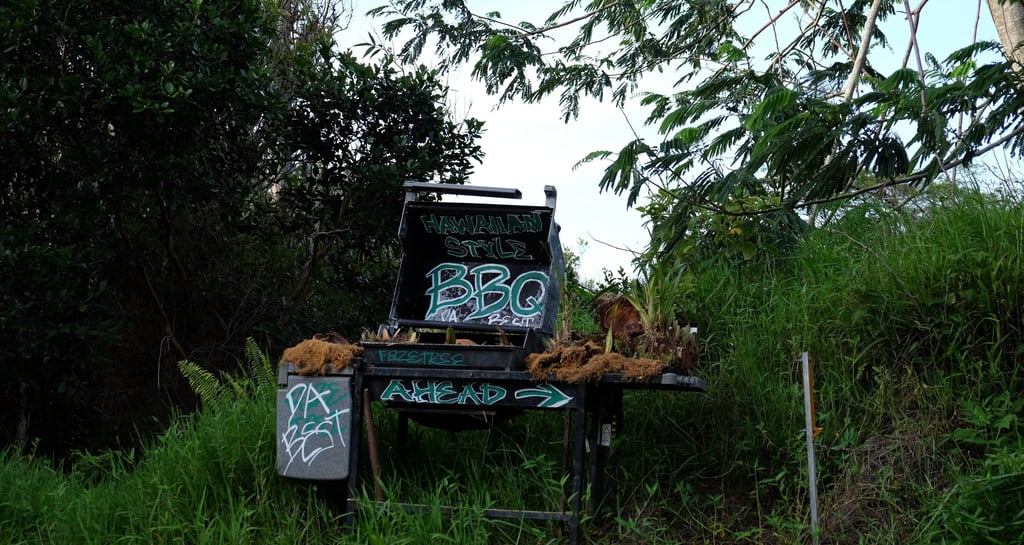 Barbecue le long de la route de Hana à Maui