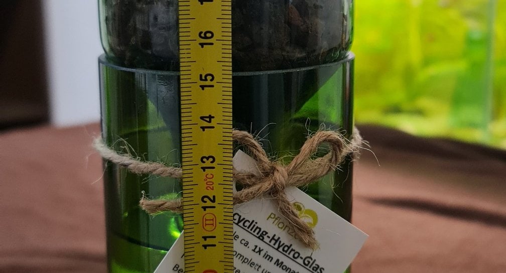 Upcycling-Hydropflanzengläser