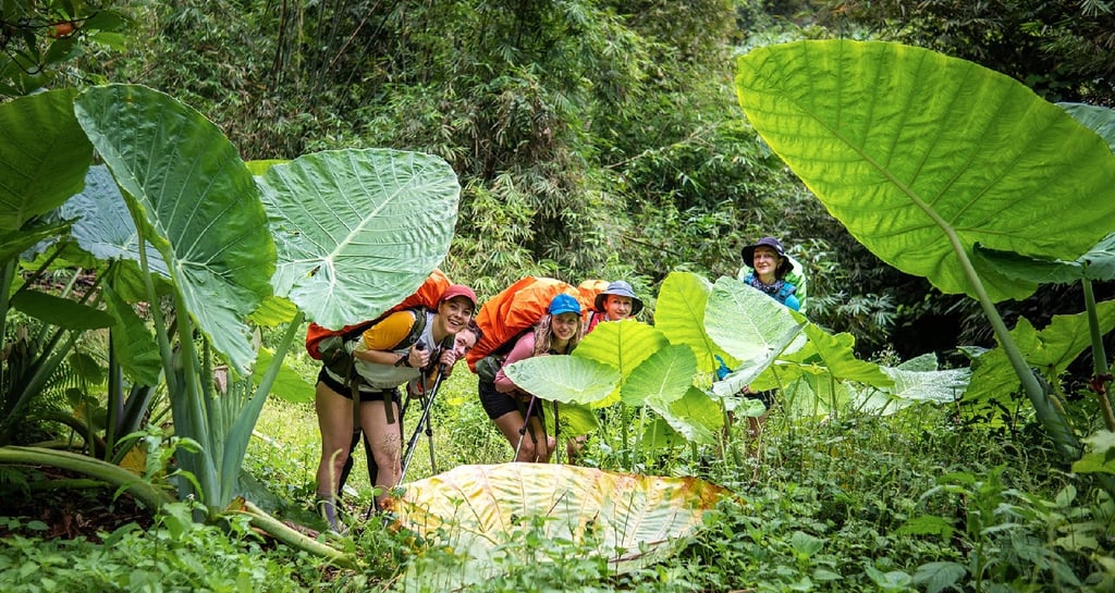 Bukit Lawang Trekking