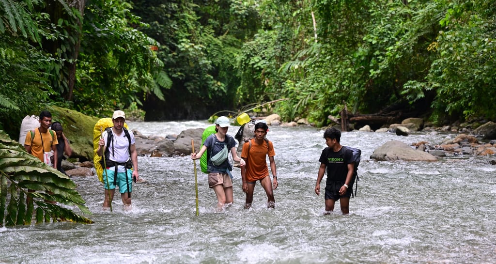 Bukit Lawang Trekking