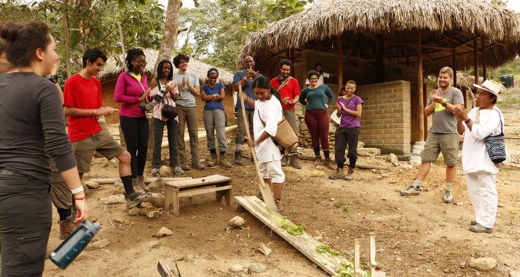 Fundación prosierra 