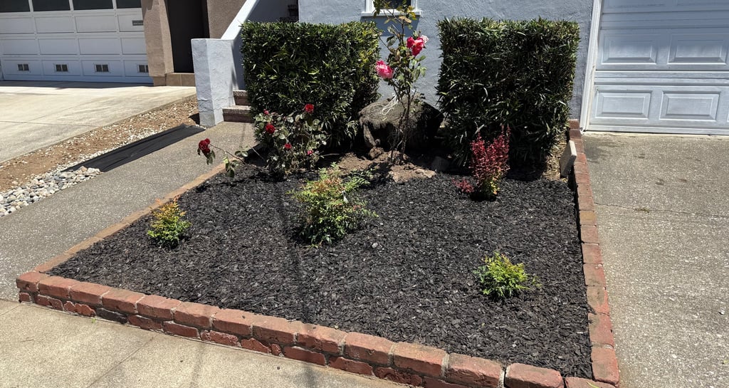 Residential landscaping with black mulch, red brick edging, and green shrubs creating a neat garden 