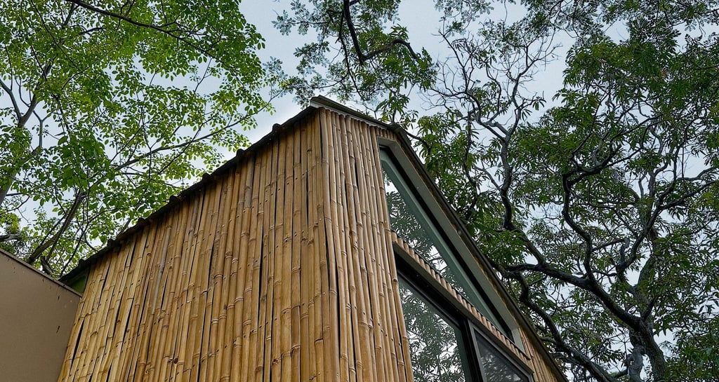 tiny house made out of bamboo surrounded by trees