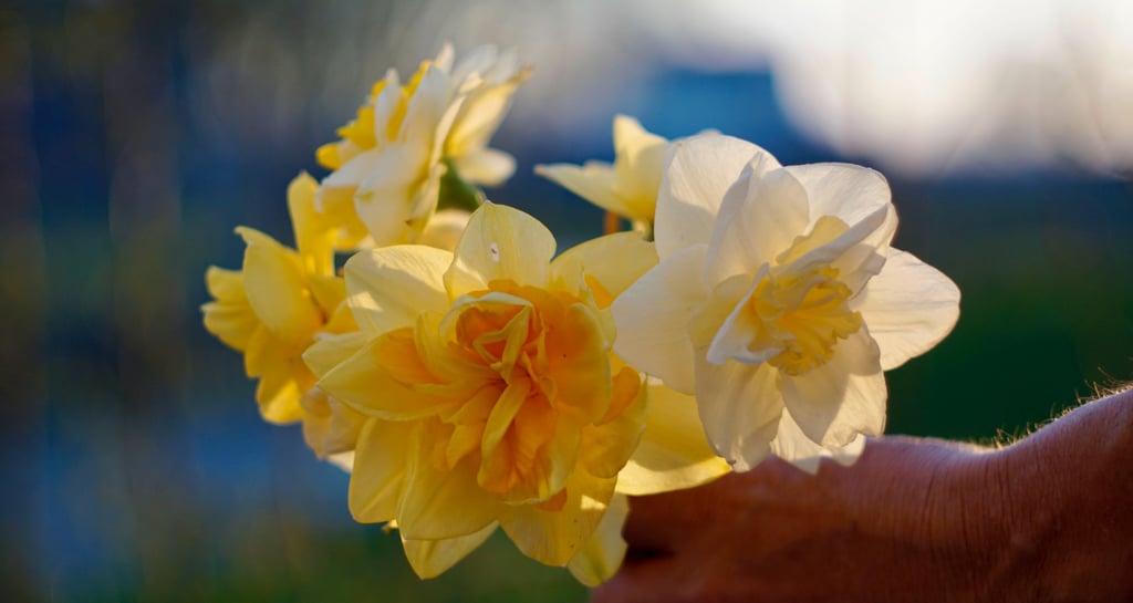 bouquet-fleurs-habay-la-vieilles-fleuriste