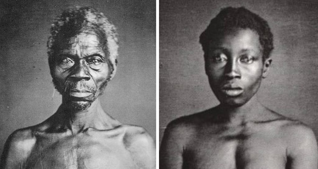 Fim de batalha judicial: Harvard transfere fotos históricas de escravizados para museu