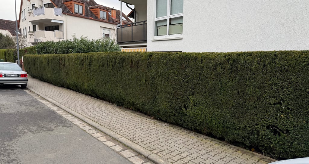 Gartenpflege Oberursel