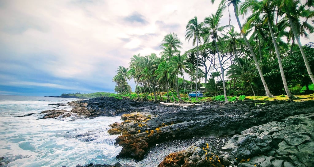 A photo I took in Hawaii. I'm not a photographer but sometimes I get lucky.