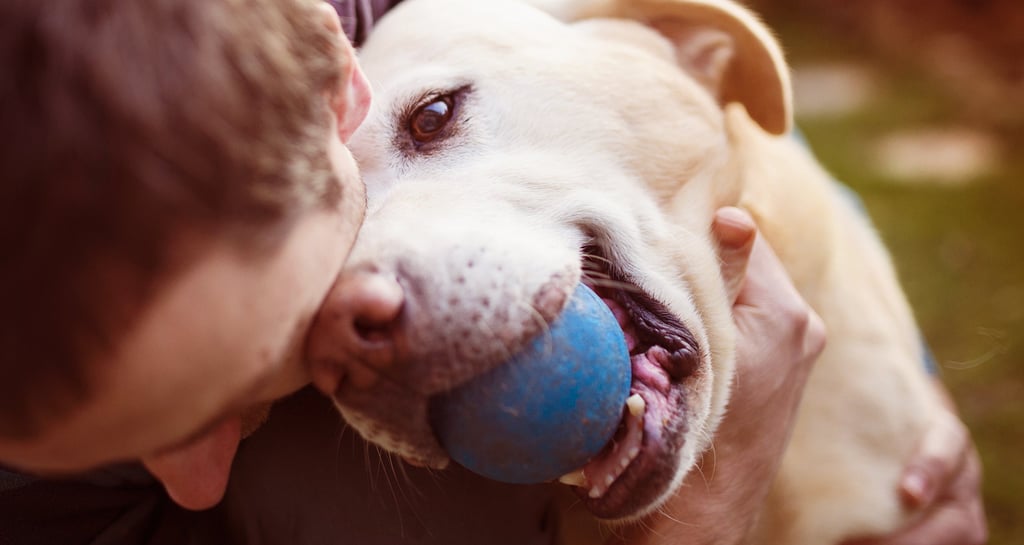 Pet care you can rely on for Lynnwood, Edmonds, Bothell, Shoreline, and Mukilteo
