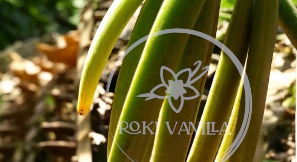 Green uganda vanilla beans