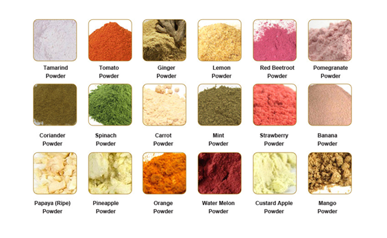 dehydrated vegetable powder exporter india